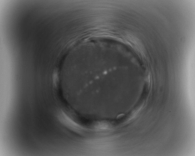 X0000099990127200805301420