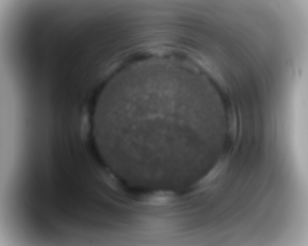 X0000099990128200805301420