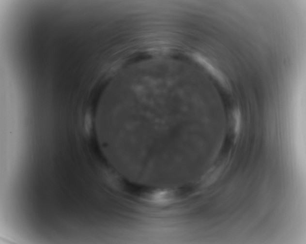 X0000099990130200805301420