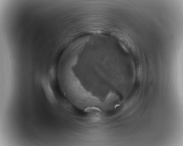 X0000099990131200805301420