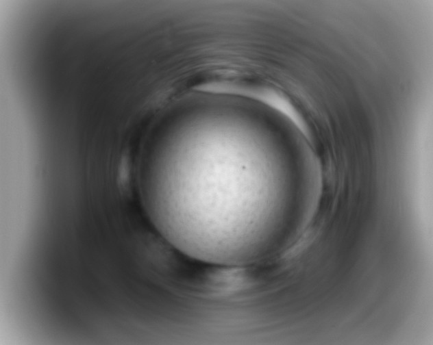 X0000099990132200805301420
