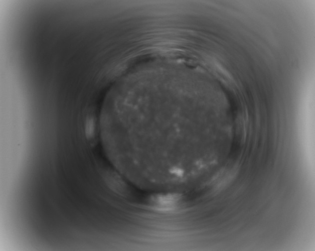 X0000099990134200805301420