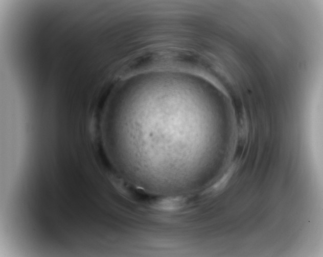 X0000099990136200805301420