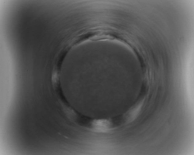 X0000099990137200805301420