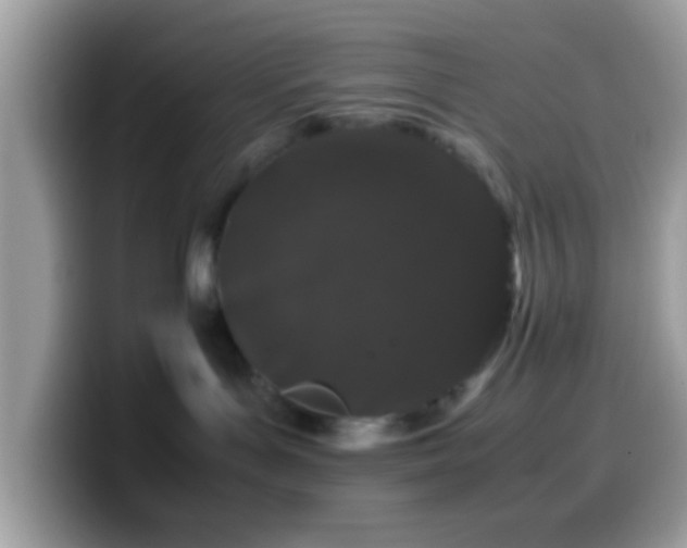 X0000099990143200805301420