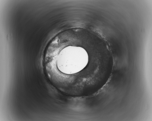 X0000099990146200805301420