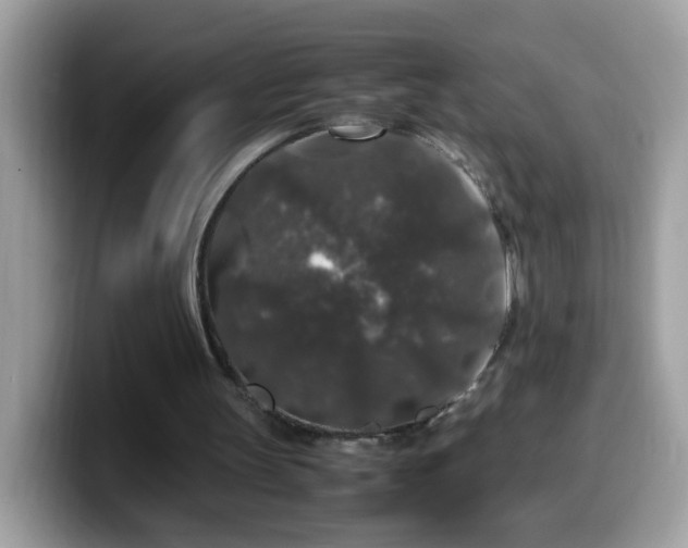 X0000099990147200805301420