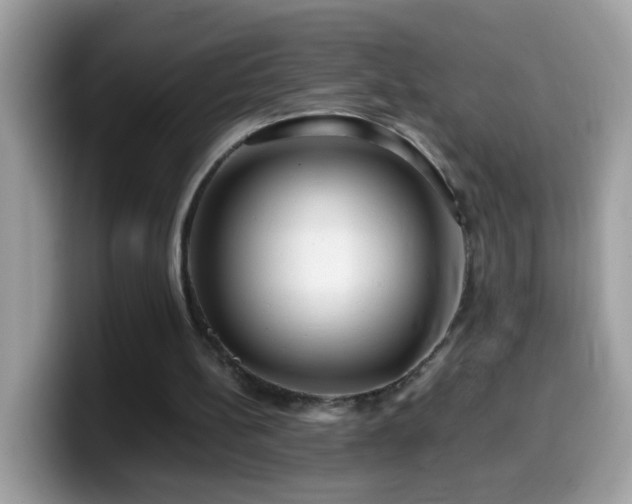 X0000099990148200805301420