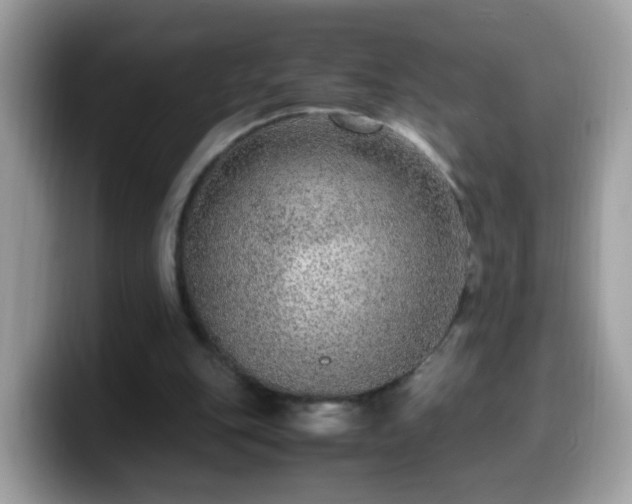 X0000099990151200805301420