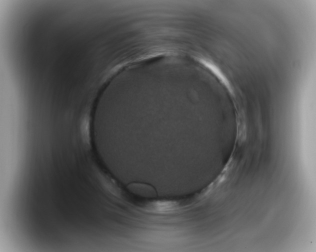 X0000099990154200805301420