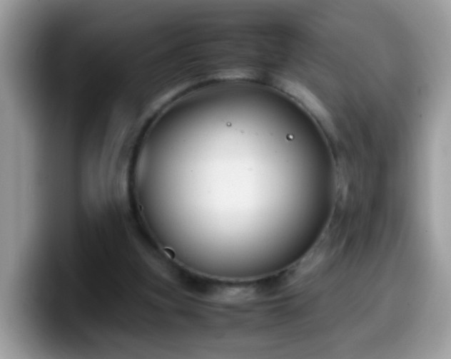 X0000099990155200805301420