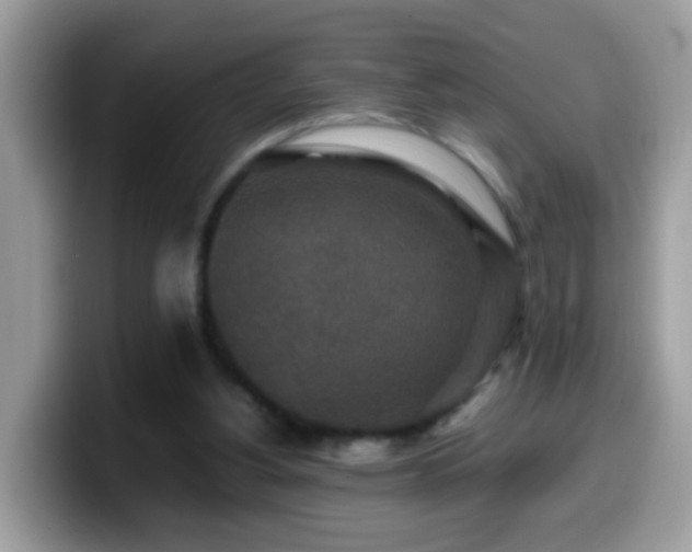 X0000099990156200805301420