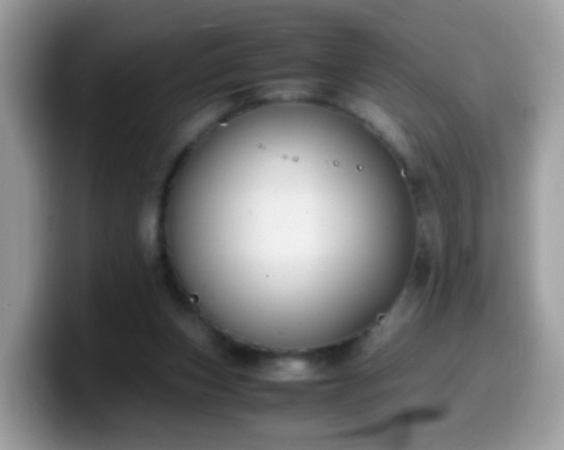 X0000099990159200805301420