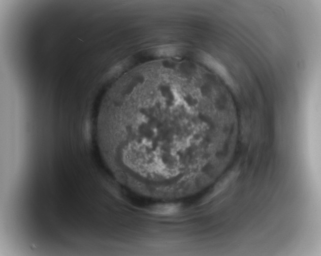 X0000099990161200805301420