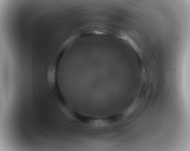 X0000099990163200805301420
