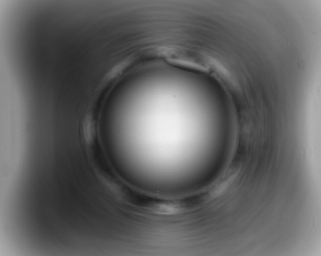 X0000099990164200805301420
