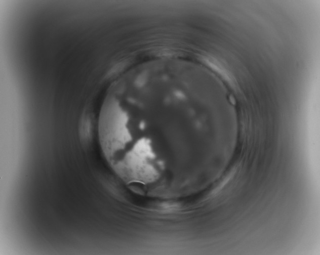X0000099990165200805301420