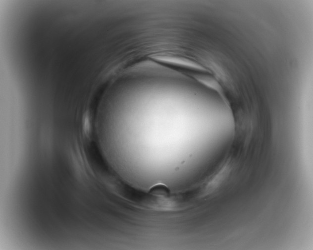 X0000099990166200805301420