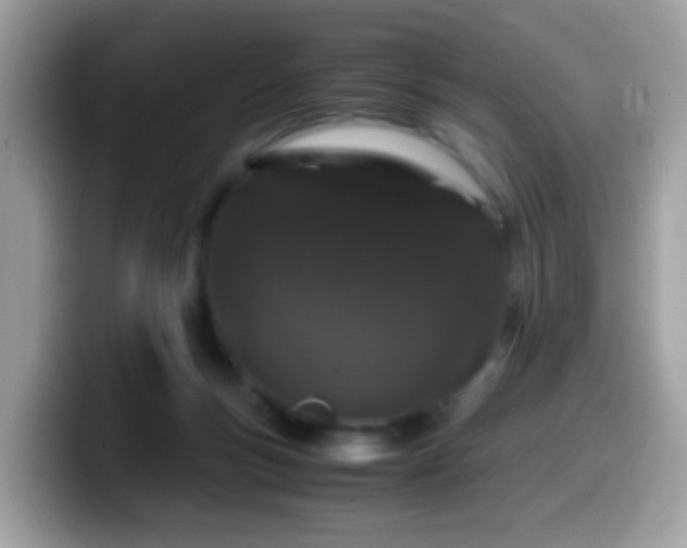 X0000099990167200805301420