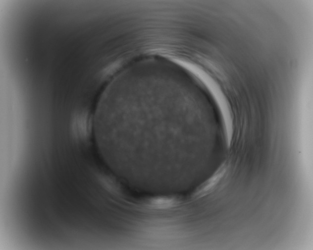X0000099990168200805301420