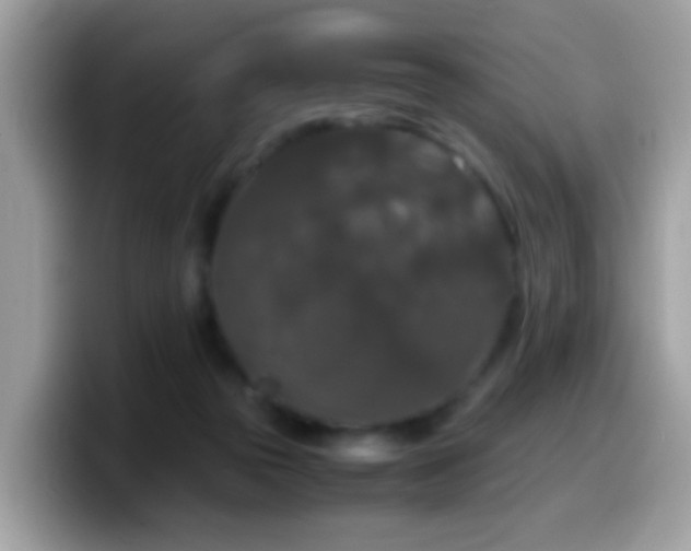 X0000099990169200805301420