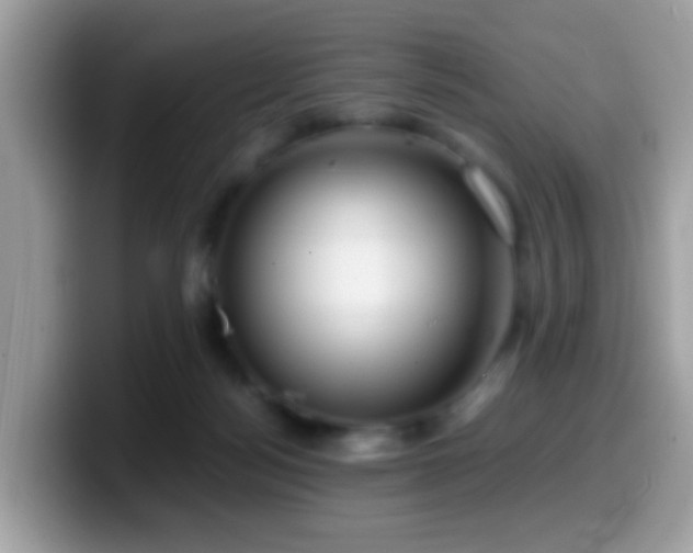 X0000099990172200805301420