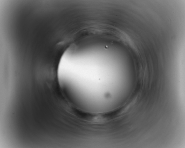X0000099990173200805301420