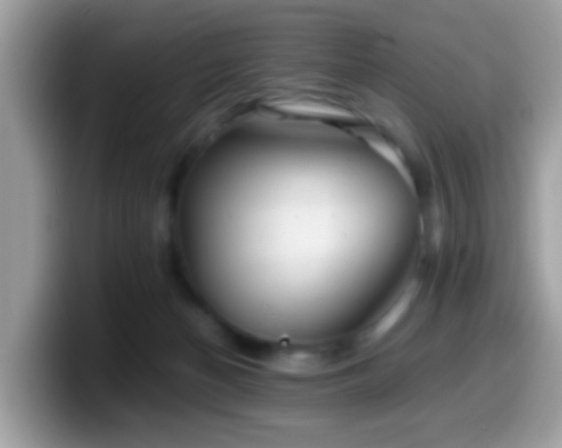 X0000099990174200805301420