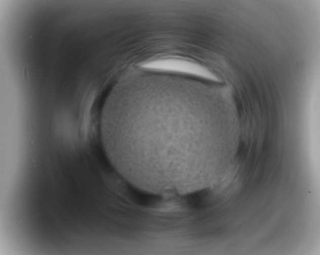 X0000099990175200805301420