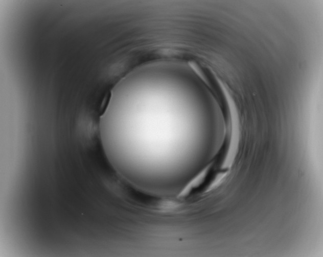 X0000099990176200805301420