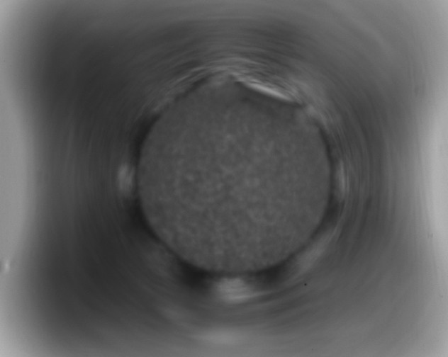 X0000099990177200805301420