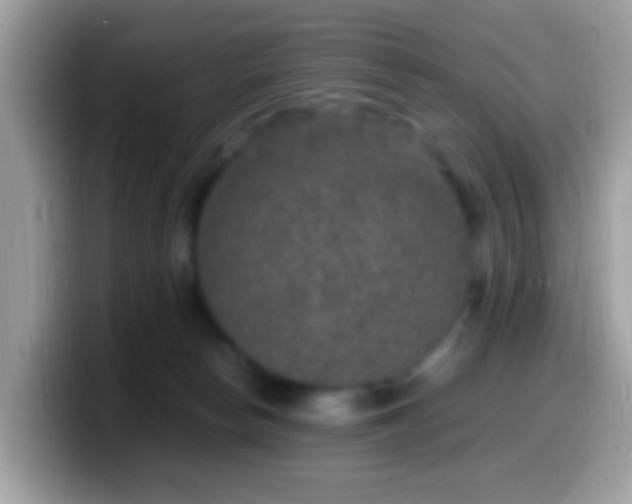 X0000099990178200805301420