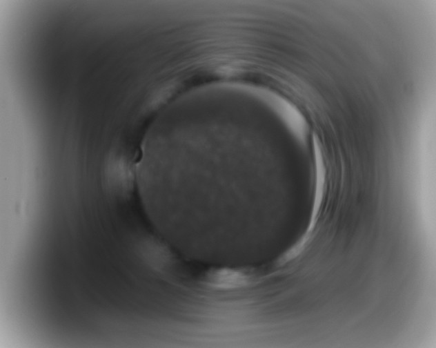 X0000099990180200805301420