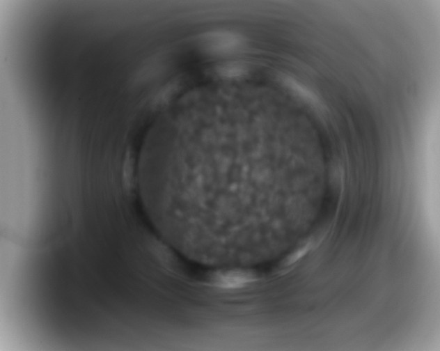 X0000099990181200805301420