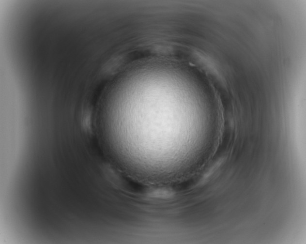 X0000099990185200805301420