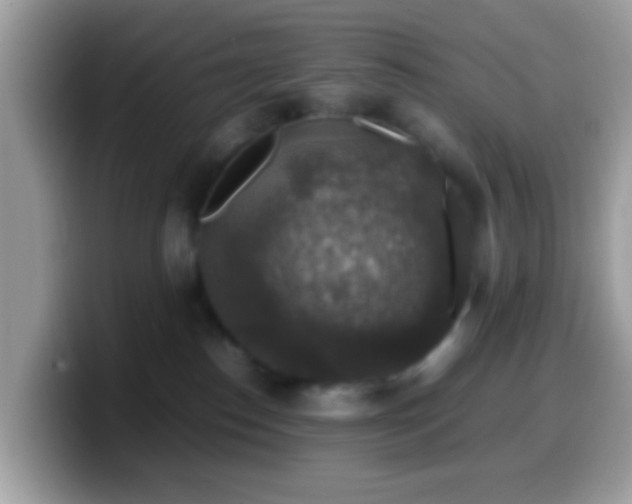 X0000099990186200805301420
