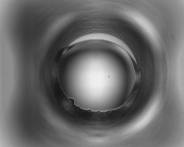 X0000099990190200805301420