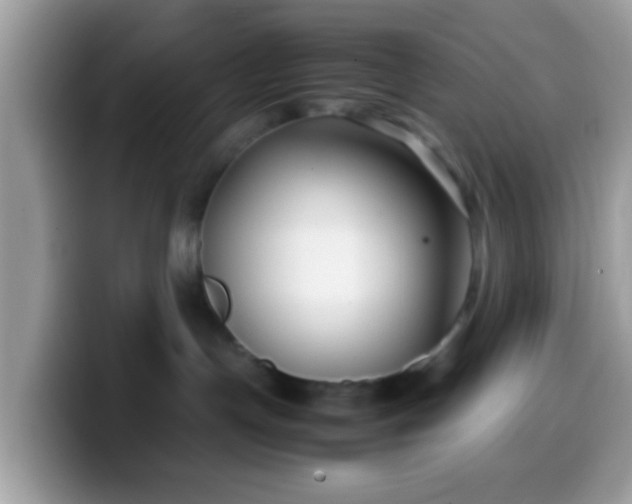 X0000099990191200805301420