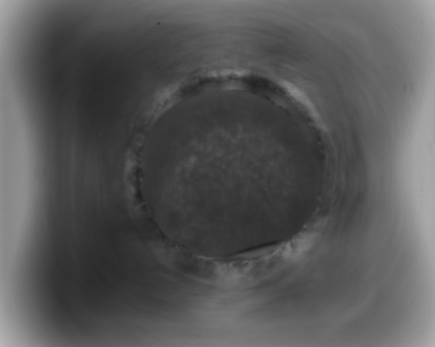 X0000099990192200805301420
