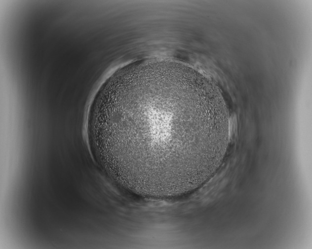 X0000099990195200805301420