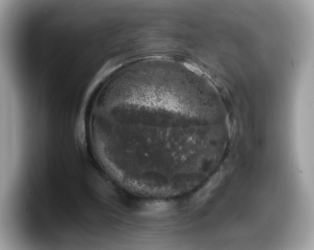 X0000099990198200805301420