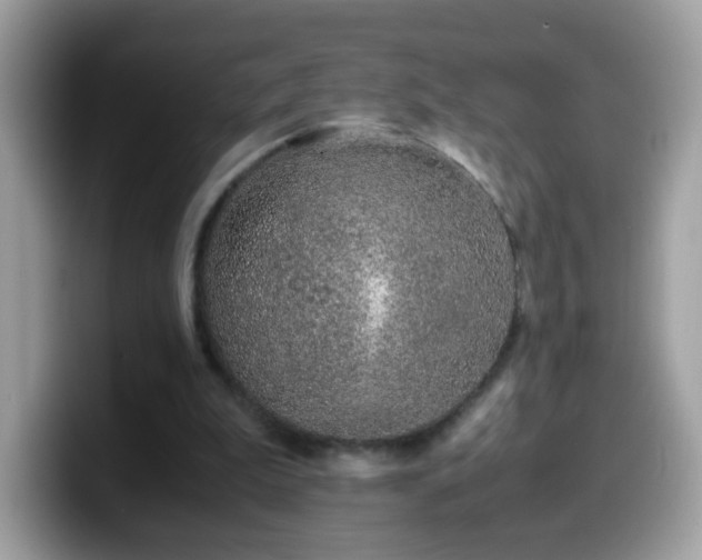 X0000099990199200805301420