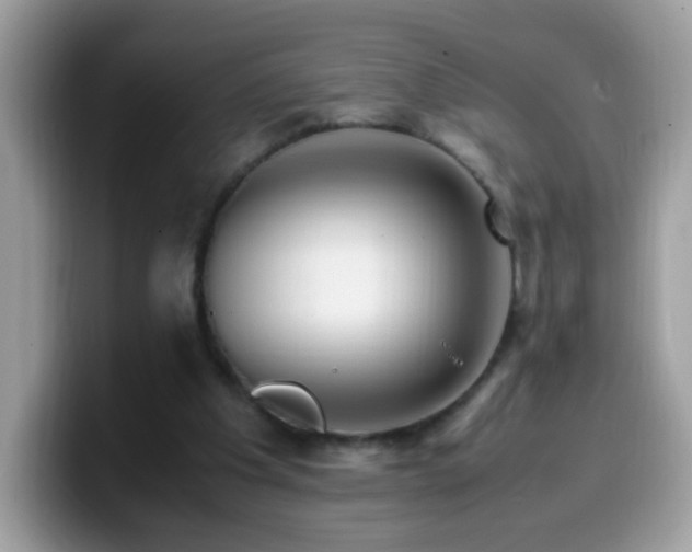X0000099990201200805301420