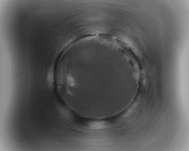 X0000099990202200805301420