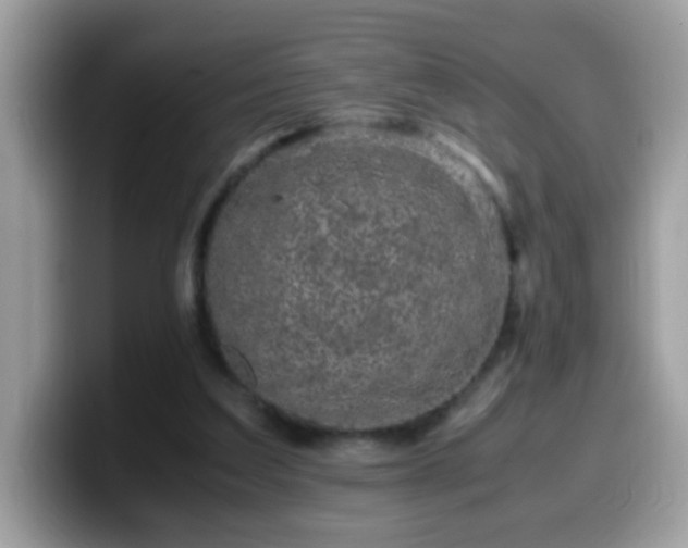 X0000099990203200805301420