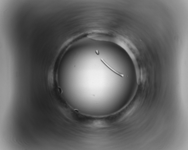 X0000099990204200805301420