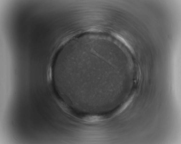 X0000099990205200805301420