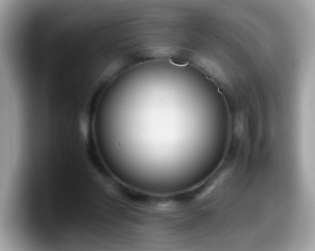 X0000099990206200805301419