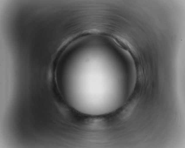 X0000099990208200805301419