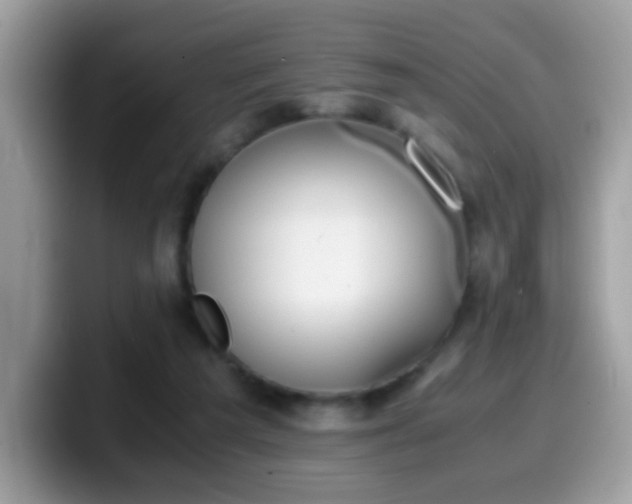X0000099990209200805301419